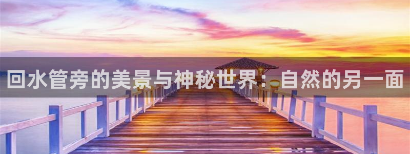 众腾娱乐文化怎么样