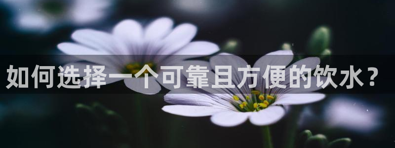 众腾娱乐邵阳