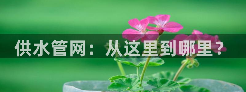 腾耀娱乐29999出众