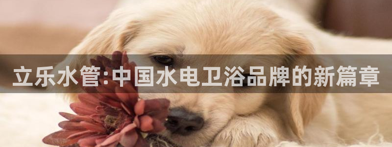众腾娱乐扣款是正规的吗