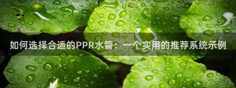 众腾娱乐app