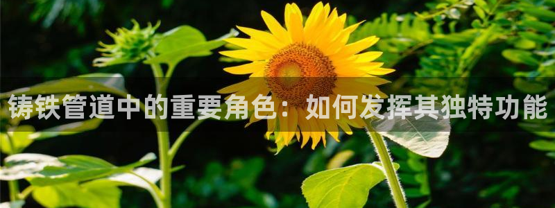 众腾娱乐