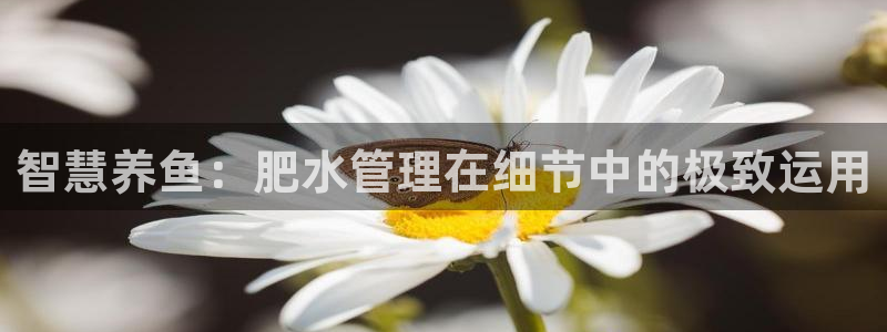 众腾娱乐客服